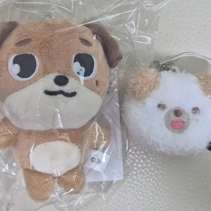 [SOLD OUT] 데이식스 도운 백참 쁘멀 페이스 키링 일괄