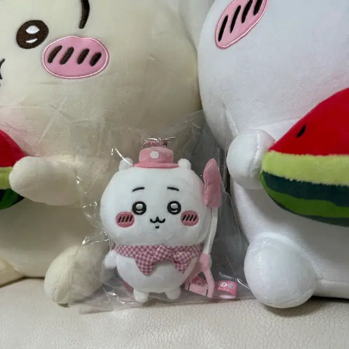 [BUNJANG] Chiikawa Pocket Picnic Plush / 치이카와 포켓 피크닉 치이카와