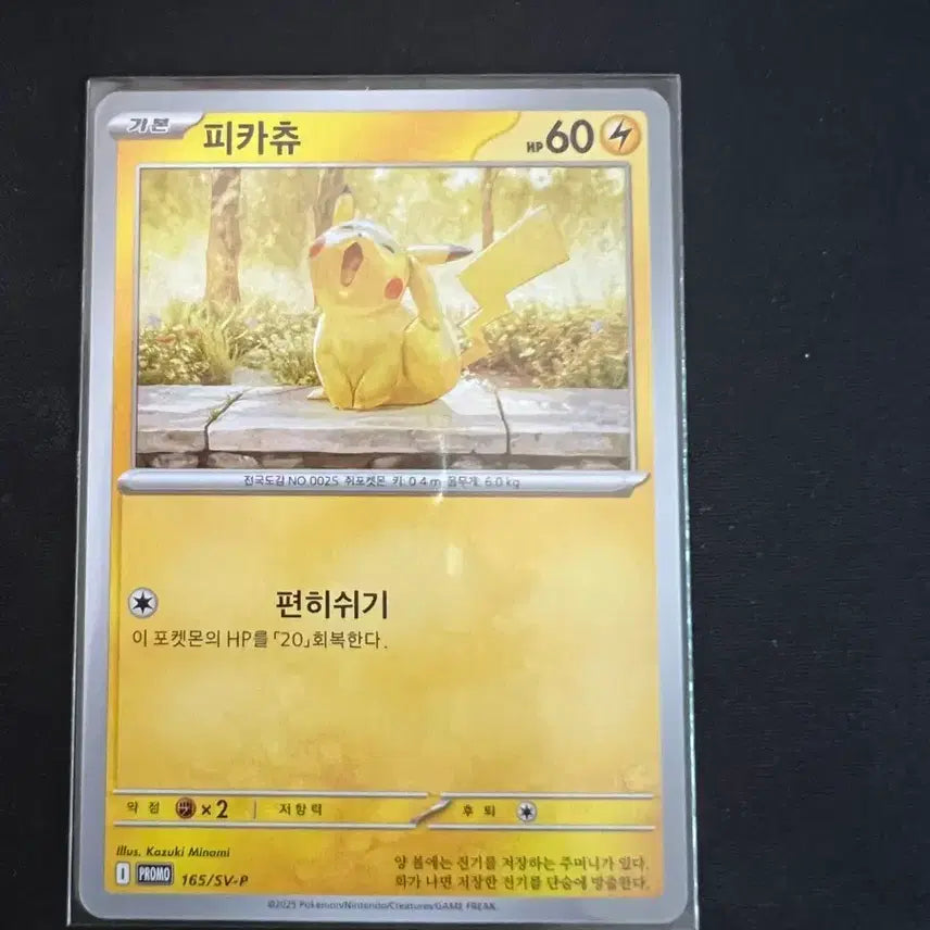 [BUNJANG] Pokemon Sleeping Pikachu Promo Card / 포켓몬카드 하품 피카츄 프로모
