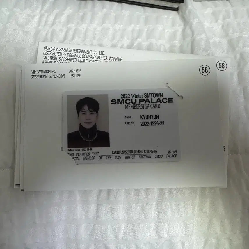 [BUNJANG] Super Junior Kyuhyun ID Card Photocard / 슈퍼주니어 규현 아이디 카드 양도
