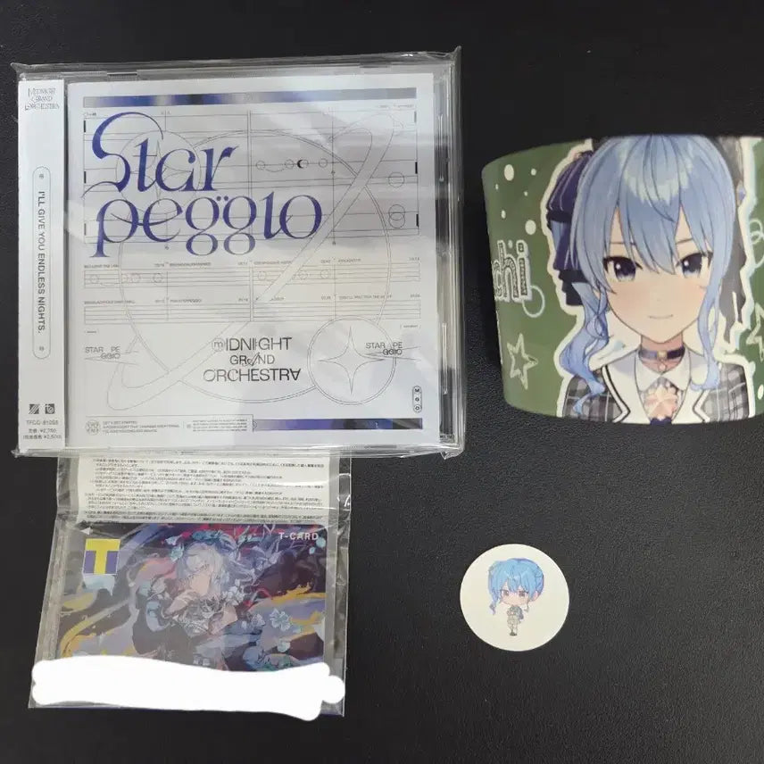 [BUNJANG] Hoshimachi Suisei Hololive Merchandise Bundle Set / [급처] 홀로라이브 스이세이 굿즈 일괄 판매