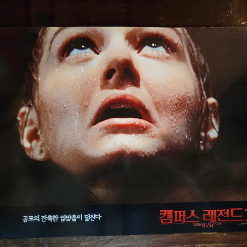 [BUNJANG] Vintage Cinema Lobby Still &amp; Flyer Collection / 캠퍼스레전드2/ 영화자료/고전희귀>영화홍보 극장로비스틸