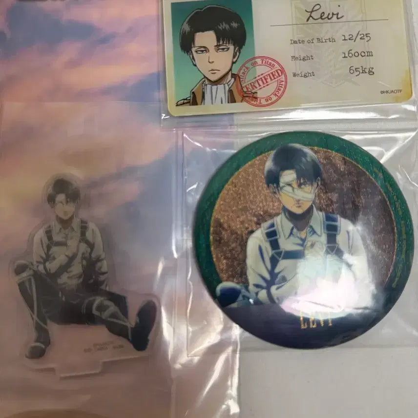 [BUNJANG] Attack on Titan Levi Goods Set / 진격의 거인 리바이 굿즈 세트