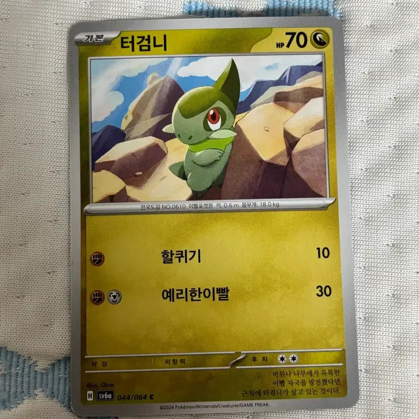 [BUNJANG] Pokemon Card - Turrntor 044/064 / 포켓몬카드 터검니 044/064