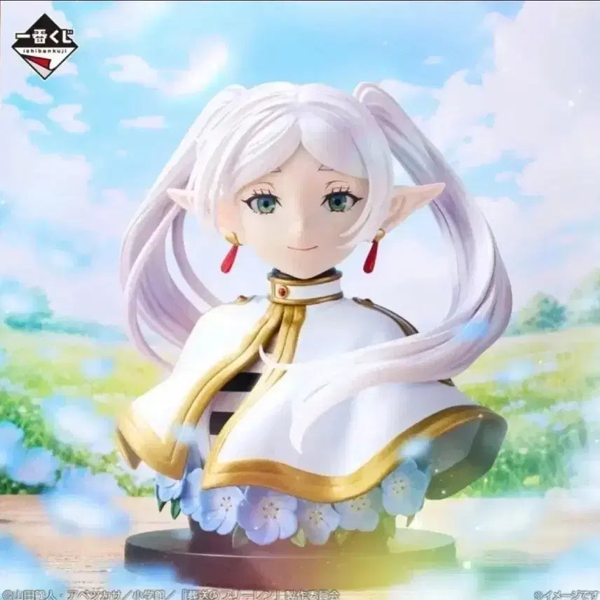[BUNJANG] Frieren: Beyond Journey&