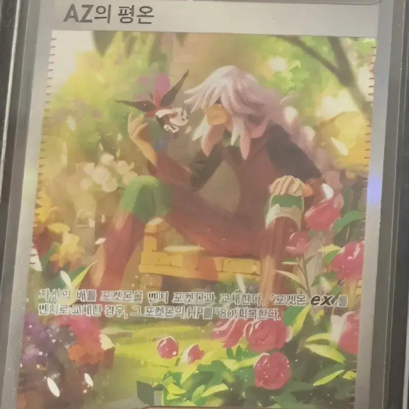 [BUNJANG] Pokémon Card - AZ&