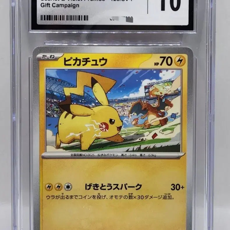[BUNJANG] Pokemon Japanese Gym Promo Pikachu Charizard CGC 10 / 일본판 포켓몬카드 체육관 짐 프로모 피카츄 리자몽 CGC 10