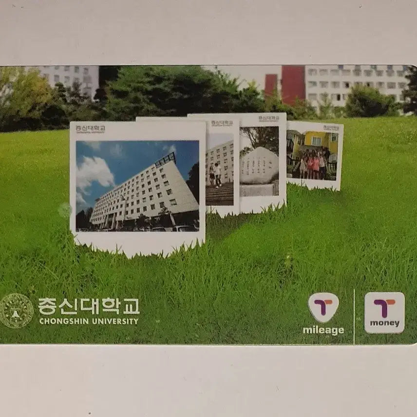 [BUNJANG] Chongshin University Promotional T-Money Transportation Card / 총신대학교 홍보용 증정용 티머니 교통카드 사용제 팝니다