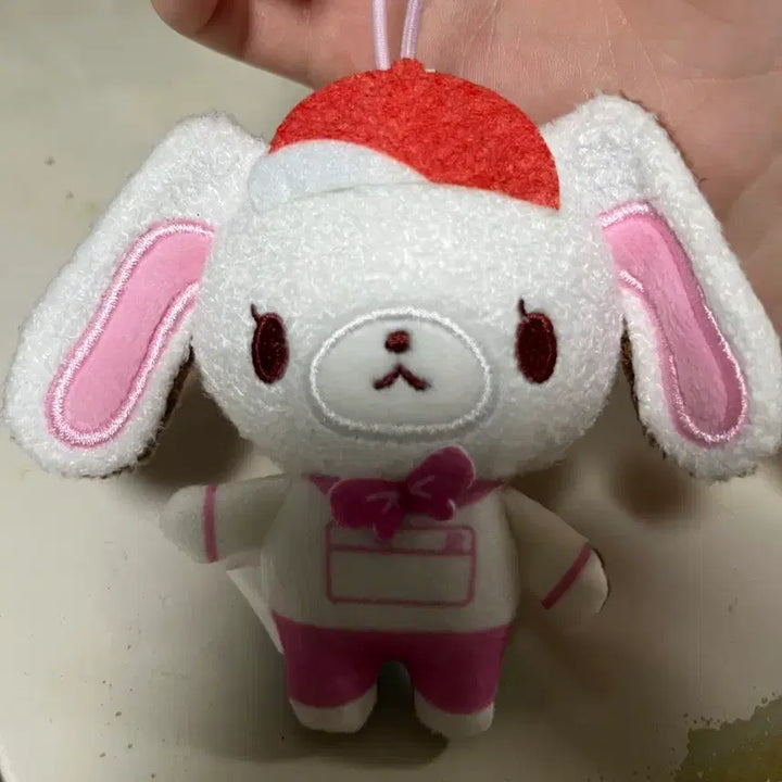 [BUNJANG] Sanrio School Collection Sugarbunnies / 산리오 스쿨 컬렉션