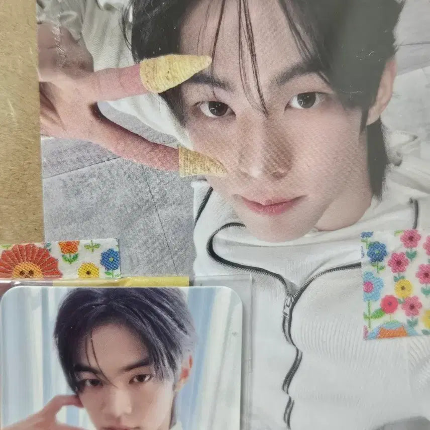[BUNJANG] TWS Dohyun Shibuya Tower Records Japan POB Mini Photocard Set / 투어스 도훈 시부야 타워레코드 일본 미공포 미니포카 세트
