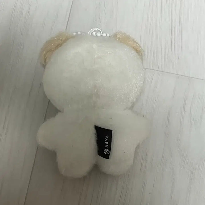 [BUNJANG] Petit Malls Don Accessory / 쁘띠멀즈 돈