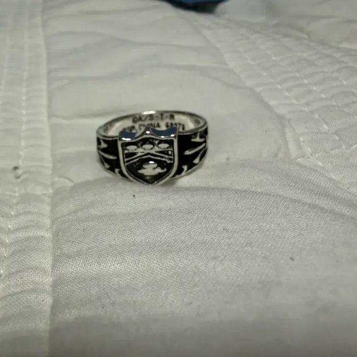 [BUNJANG] Katekyo Hitman Reborn! Vongola Ring (Unsealed) / (개봉상품)제일복권 가히리 F상 봉고레링