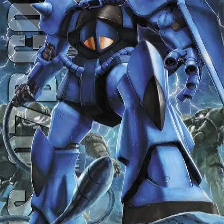 [BUNJANG] MG Gouf Model Kit / 구프 mg