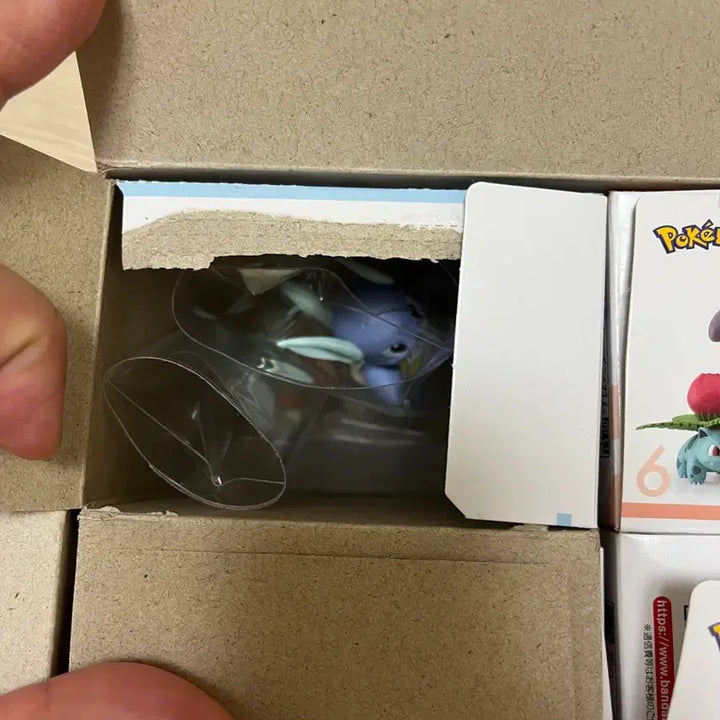 [BUNJANG] Pokémon Scale World Kanto / 포켓몬 스케일월드 관동