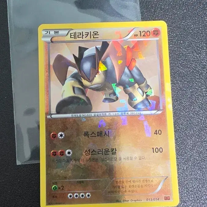 [BUNJANG] Terrakion Pokémon Card BG / 포켓몬 카드 테라키온 bg