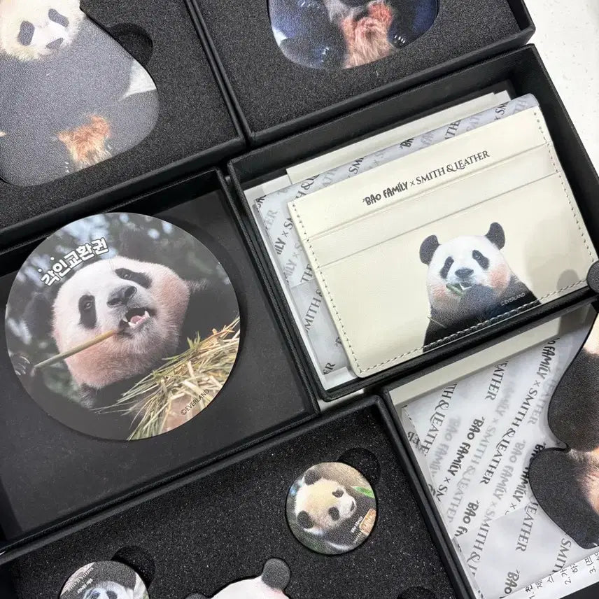 [BUNJANG] FuBao x 8seconds Smith Bundle Set / 푸바오 에잇세컨즈 스미스 일괄