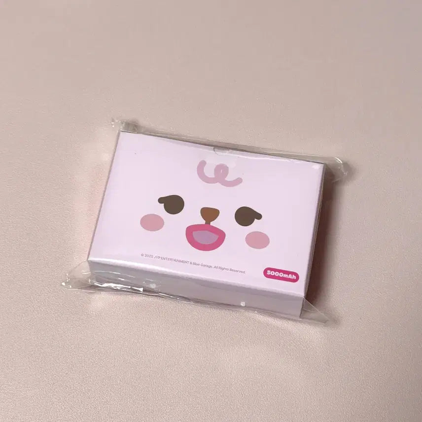 [SOLD OUT] 데이식스 필 보조배터리