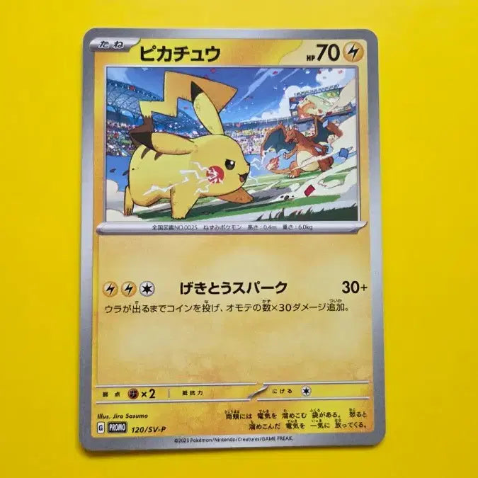 [BUNJANG] Pokemon Card Pikachu 2023 Gym Promo S-Grade / 포켓몬카드 피카츄 짐프로모 s-급 2023