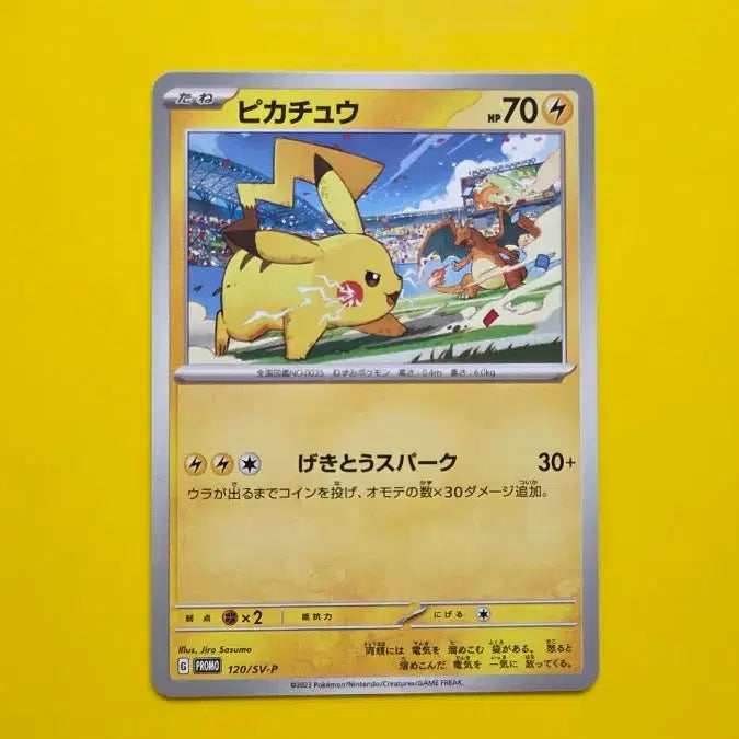 [BUNJANG] Pokemon Card Pikachu Gym Promo S-Grade / (특별 이벤트)포켓몬카드 피카츄 짐프로모 s-급 2023