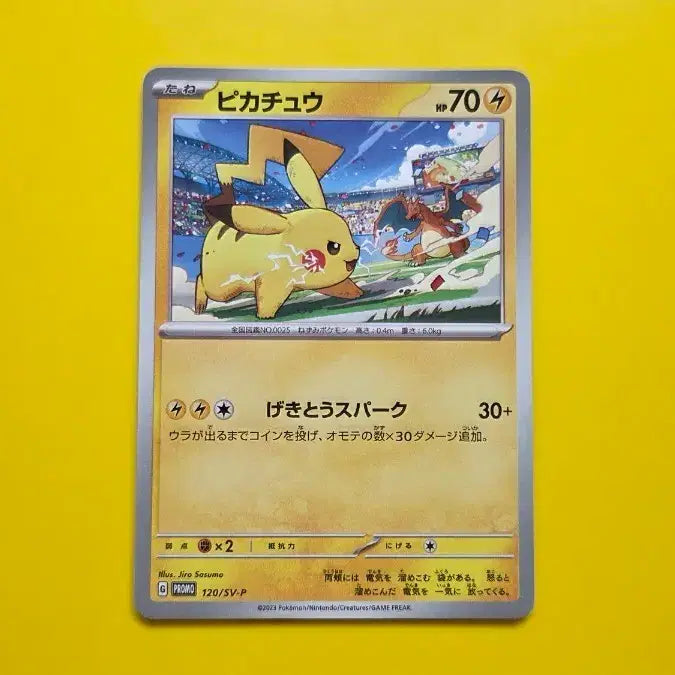 [BUNJANG] Pokemon Card Pikachu Gym Promo S-Grade 2023 / 포켓몬카드 피카츄 짐프로모 s급 2023