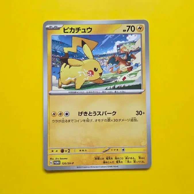 [BUNJANG] Pokemon Card Pikachu Gym Promo S-Grade 2023 / 포켓몬카드 피카츄 짐프로모 s급 2023