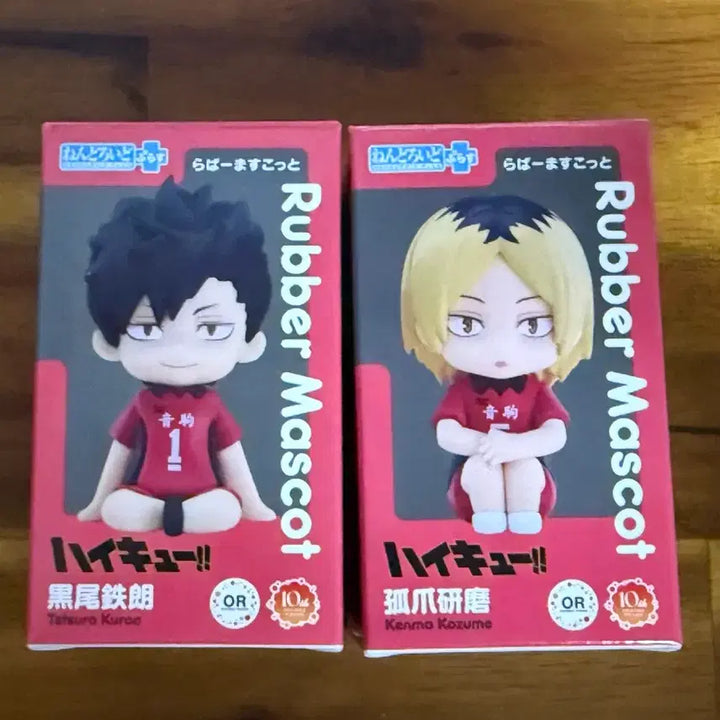 [BUNJANG] Haikyuu!! Nendoroid Plus Rubber Mascot Kuroo Kenma Bundle Set (Sealed) / 미개봉 하이큐 넨도로이드 플러스 러버 마스코트 쿠로오 켄마 일괄