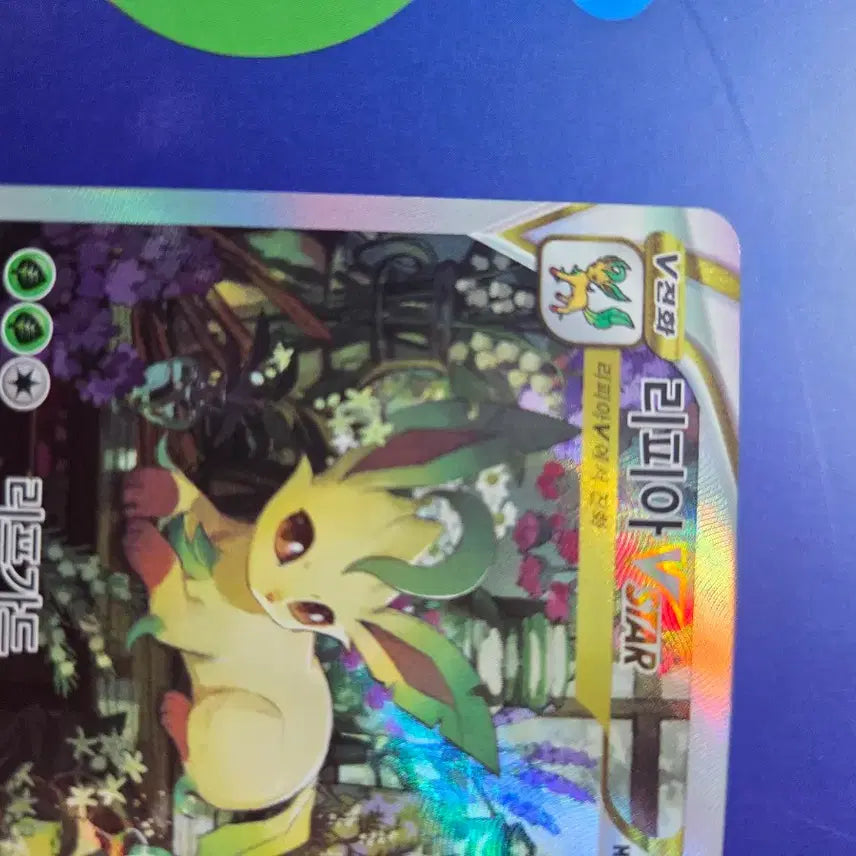 [BUNJANG] Pokemon Card Leafeon Vstar / 포켓몬카드 리피아
