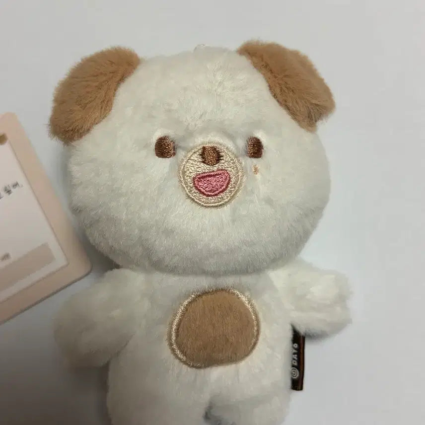 [BUNJANG] Day6 Young K 10cm Plush Doll / 데이식스 쁘띠멀즈 돈 10cm