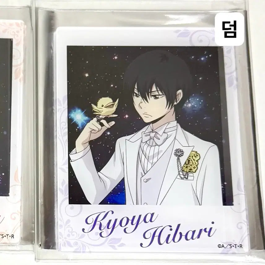 [BUNJANG] Hibari Kyoya Photocard / (6.25일까지)가히리 가정교사히트맨리본 히바리 쿄야 이상하게 웃긴 인형