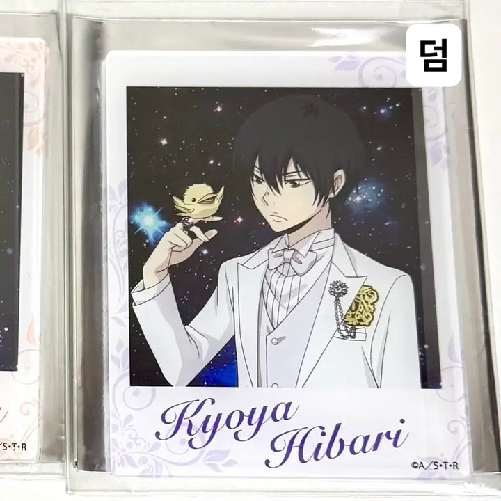 [BUNJANG] Hibari Kyoya Photocard / (6.25일까지)가히리 가정교사히트맨리본 히바리 쿄야 이상하게 웃긴 인형