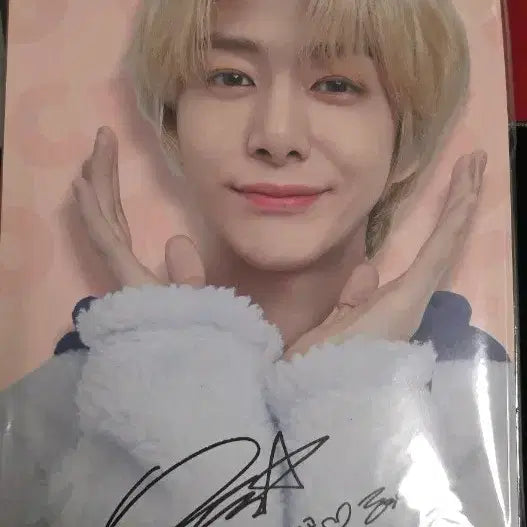 [BUNJANG] MONSTA X Hyungwon TWOTUCKGOM Cushion Cover / 몬스타엑스 형원 투턱곰 베개커버 지지곰