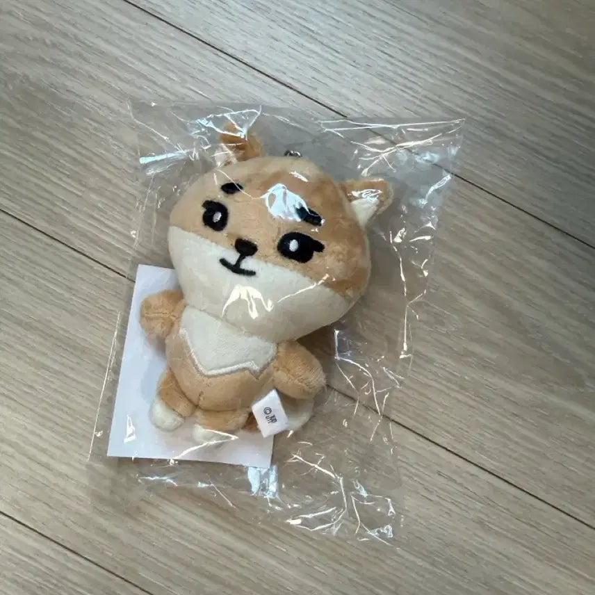 [BUNJANG] Day6 Young K MD Bag Charm Sealed / 데이식스 일본 엠디 백참 영케이 케 미개봉