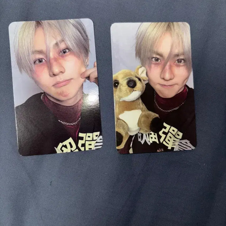 [BUNJANG] ENHYPEN Jungwon Desire &amp; Unlocked Photocard Bundle Set / 급처) 엔하이픈 정원 디자이어 언리쉬 포토카드 앨포 일괄