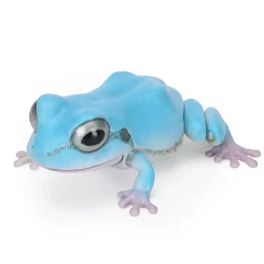 [BUNJANG] Realistic Articulated Frog Figure - Sky Blue / (새상품) 실사 개구리 관절 구현 생물도감 하늘 개굴 피규어 스카이블루