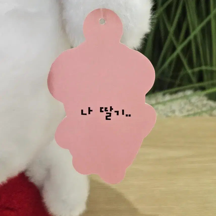 [BUNJANG] Medium Strawberry Dog Plush Toy / (새상품) 딸기 강아지 중형 인형