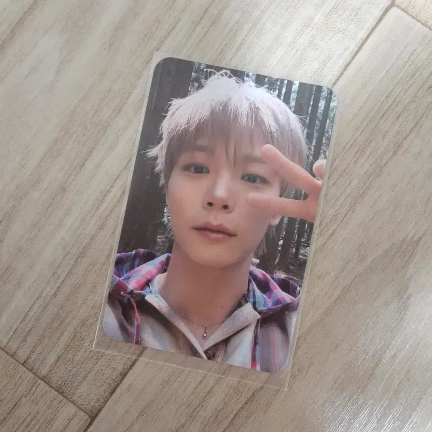 [BUNJANG] LUCY Yechan Island ver. Photocard / 루시 예찬 신예찬 포토카드 포카 양도