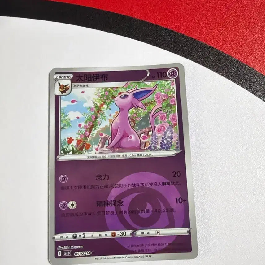 [BUNJANG] Pokemon Card Eevee Type Holo / 포켓몬카드 중판 에브이 타입홀로