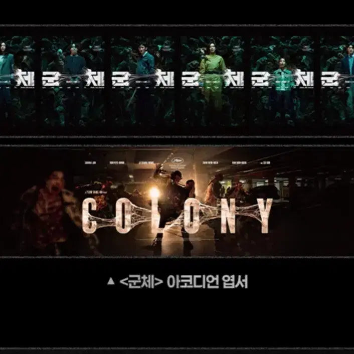 [BUNJANG] A-Chord Accordion Postcard Set / 군체 아코디언 엽서