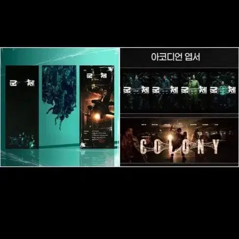 [BUNJANG] Colony Accordion Postcard and TTT Set / 군체 Colony 아코디언 엽서 및 TTT 세트