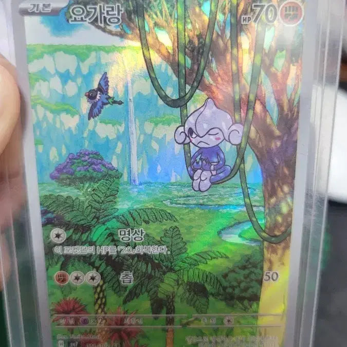 [BUNJANG] Pokemon Card AR Set (4 Cards) - Mint Condition / 기스없는 포켓몬카드 ar 4개 일괄판매합니다