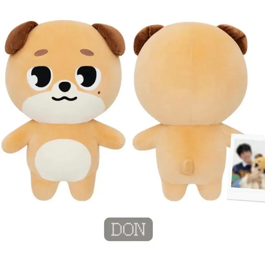 [BUNJANG] DAY6 Giant Denimals Photocard Holder / 데이식스 자이언트 데니멀즈