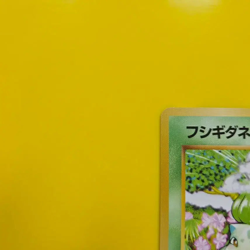 [BUNJANG] Pokemon Card 1996 Bulbasaur S-Class Japanese 1st Edition / 포켓몬카드 1996 이상해씨 s급 일본판 초기카드