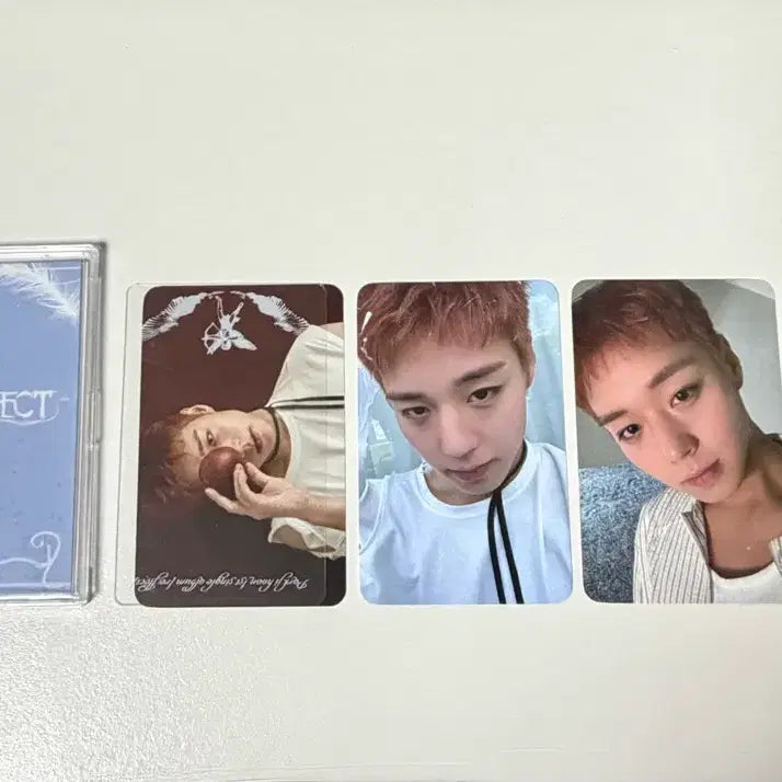 [BUNJANG] Park Ji Hoon PLVE Album Photocard Set (Selfie, POB) / (set) 박지훈 플브 앨범 포카 셀피 미공포 특전 plve 리플렉트