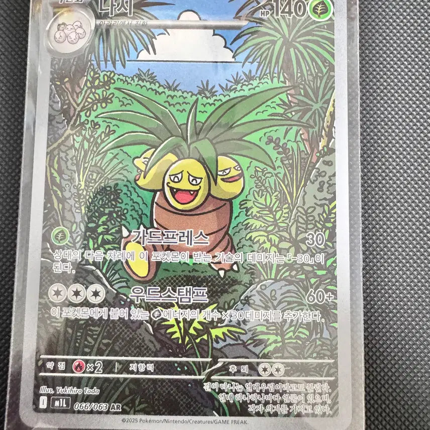 [BUNJANG] Pokemon Nasi AR Card / 포켓몬스터 나시 ar