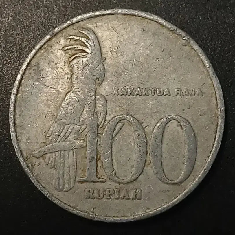 [BUNJANG] 1999 Indonesia 100 Rupiah Coin / 1999년 인도네시아 100루피아 동전 w1408