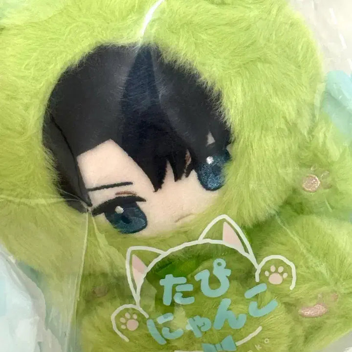 [BUNJANG] Attack on Titan Levi Tappy Nyaneko Plush Doll / 리바이 타피냥코 누이 인형 진격의거인 진격거