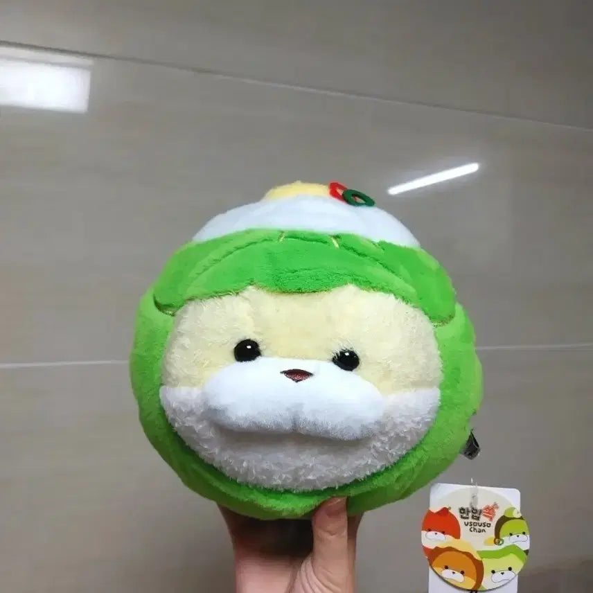 [BUNJANG] Usousochang Spring Cabbage Plush 19cm / 한입쏙 우소우소짱 봄동 19cm