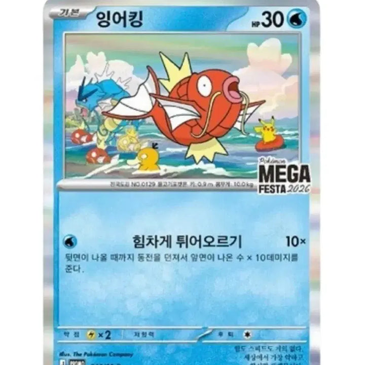 [SOLD OUT] [BUNJANG] Pokemon Magikarp MEGA FESTA 2026 Promo Card / 포켓몬 잉어킹 MEGA FESTA 2026 카드