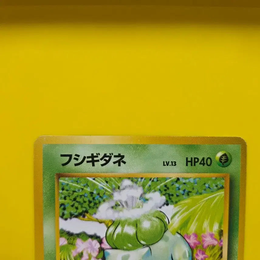 [BUNJANG] Pokemon Card 1996 Bulbasaur 1st Edition (A Grade, Japanese) / 포켓몬카드 1996 이상해씨 a급 초기 일본판