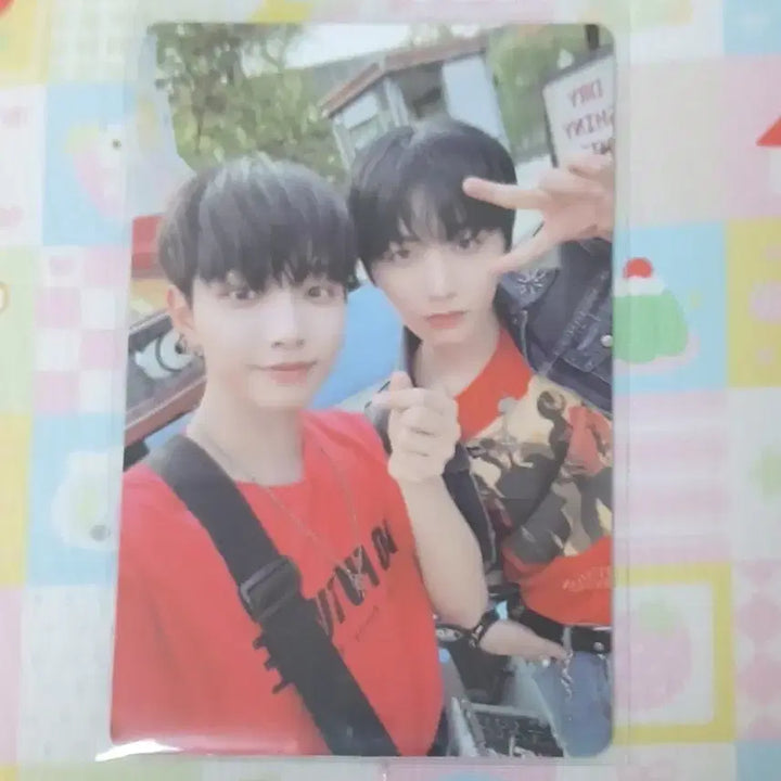 [BUNJANG] BOYNEXTDOOR Sungho, Taesan Unit Photocard / 급처/뒷장있음)보넥도 앨범포카 일괄판매